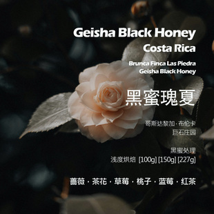 哥斯达黎加巨石庄园黑蜜瑰夏手冲单品咖啡豆新鲜浅烘桃子蓝莓红茶