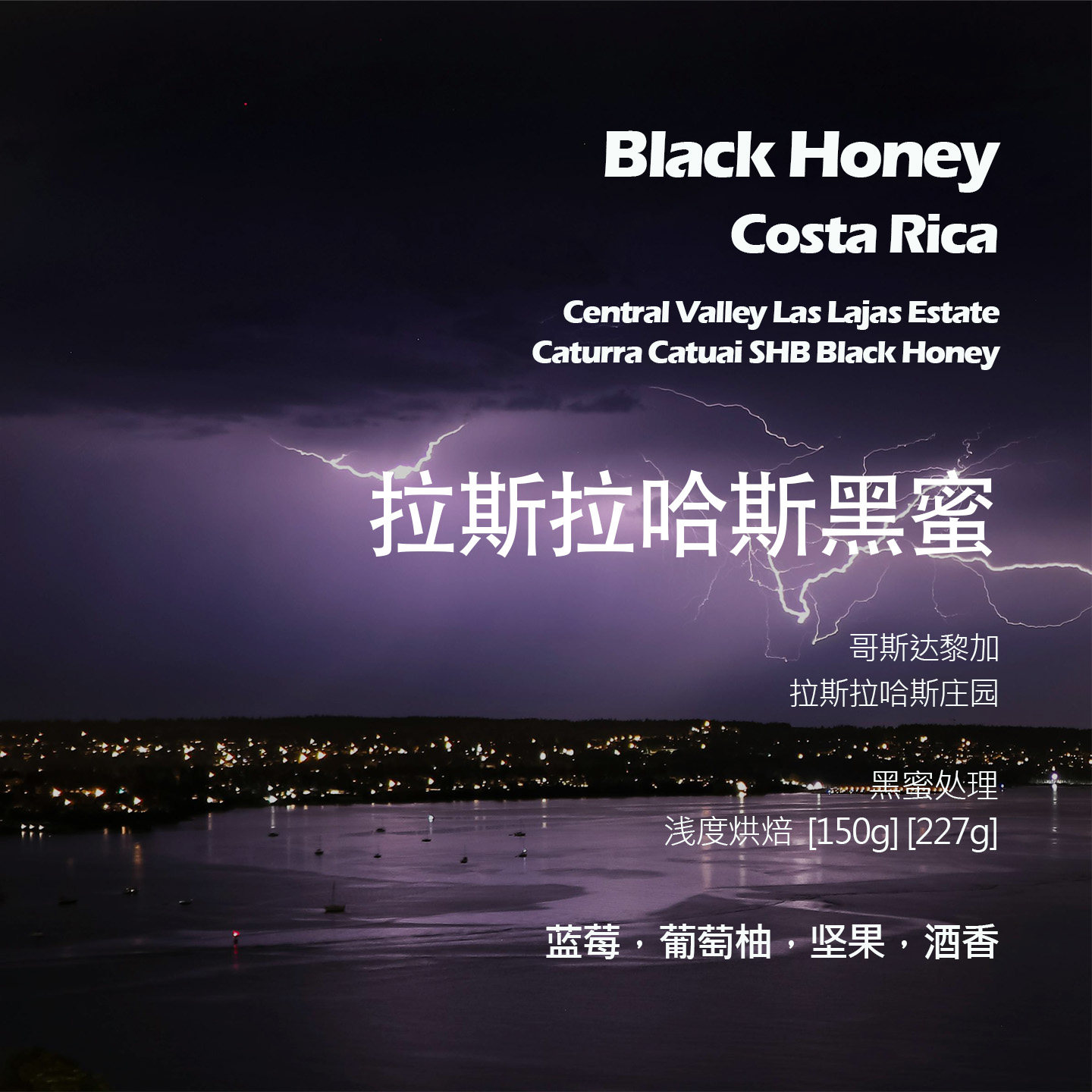 哥斯达黎加拉斯拉哈斯庄园黑蜜手冲单品咖啡豆新鲜浅烘蓝莓酒香