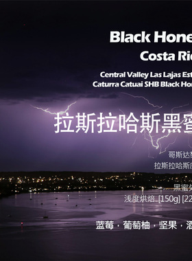 哥斯达黎加拉斯拉哈斯庄园黑蜜手冲单品咖啡豆新鲜浅烘蓝莓酒香