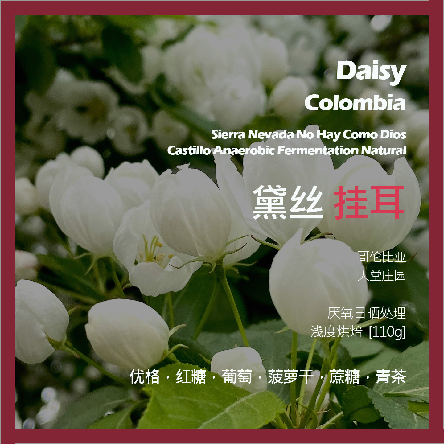 挂耳哥伦比亚天堂庄园黛丝厌氧日晒单品咖啡豆浅烘葡萄蔗糖青茶