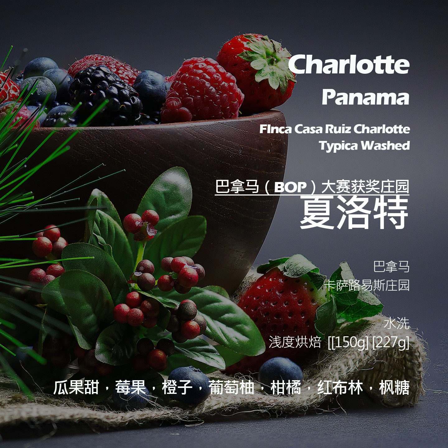 巴拿马卡萨路易斯庄园夏洛特铁皮卡水洗手冲单品咖啡豆新鲜浅烘