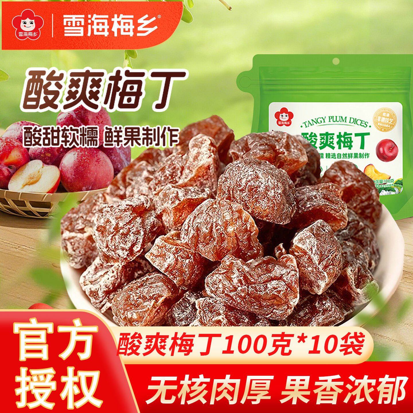雪海梅乡 酸爽梅丁100g话梅肉无核软糯酸甜蜜饯果干孕妇解馋零食