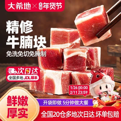 大希地精修牛腩块清炖红烧牛腩肉