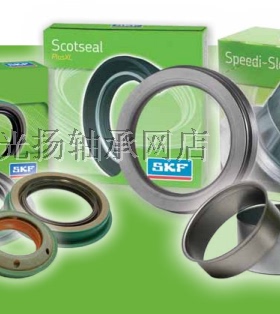 瑞典SKF 美国CR 铁壳 骨架 氟胶进口密封 CR 17284 CR 14875