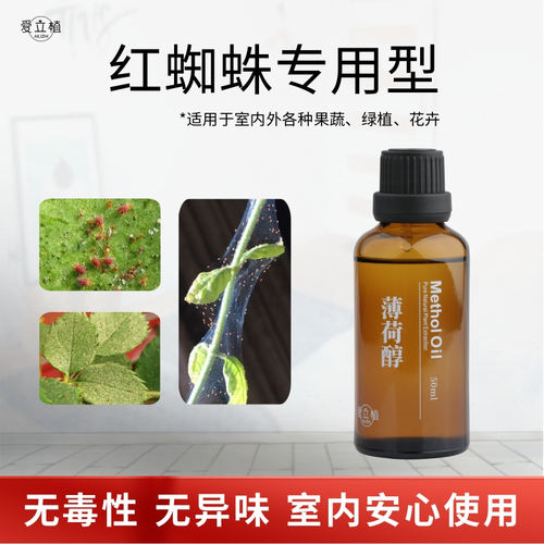 爱立植薄荷醇红蜘蛛专用药月季花