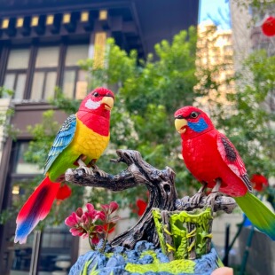 会说话的鹦鹉玩具小鸟家居摆件仿真电动鸟笼玩偶老年人解闷神器