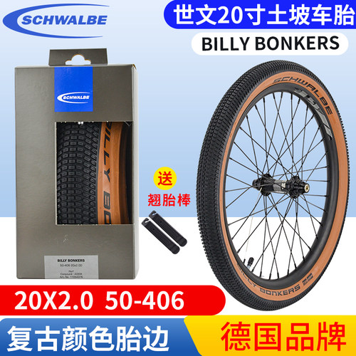 SCHWALBE20寸自行车BMX动作车