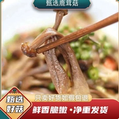 陕西汉中特产鹿茸菇干货煲汤香菇炖汤高端食材精品无碎渣干净货