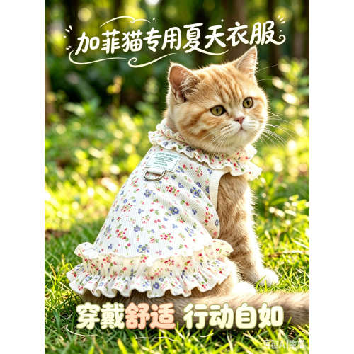 加菲猫专用猫咪夏天衣服薄款宠物背心小猫漂亮小裙子凉感透气夏季