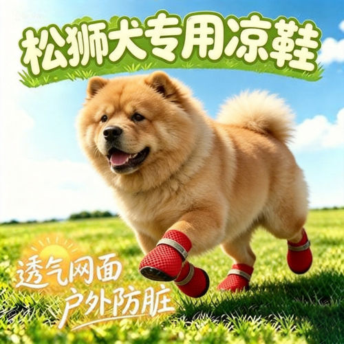 松狮犬幼犬专用狗狗凉鞋小狗鞋子夏透气宠物狗鞋夏季夏天易穿不掉