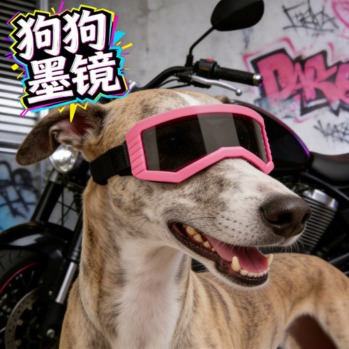 灵缇专用狗狗墨镜小狗眼镜防风镜紫外线太阳镜配饰宠物大型犬户外