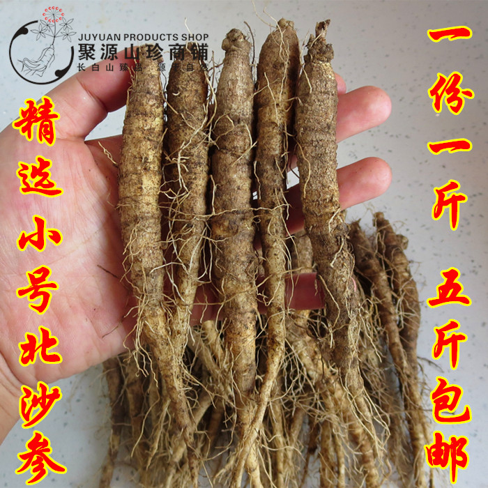 新鲜北沙参东北长白山野生轮叶党参韩国泡菜小号山胡萝卜山地瓜