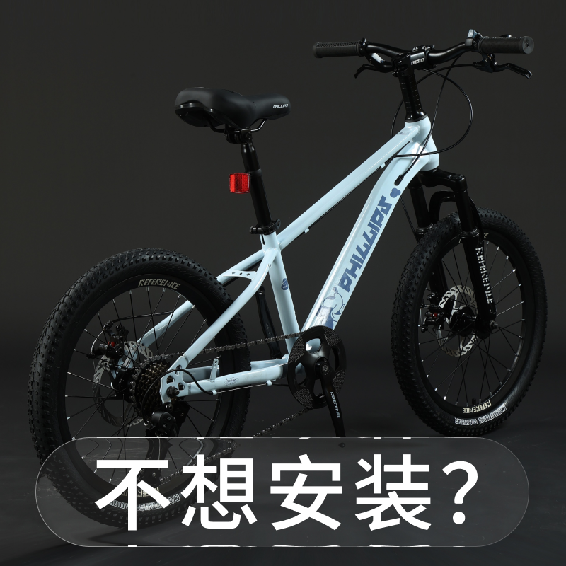 菲利普20寸变速油碟儿童自行车