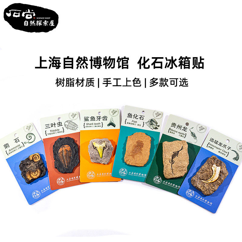博物馆古生物文创冰箱贴