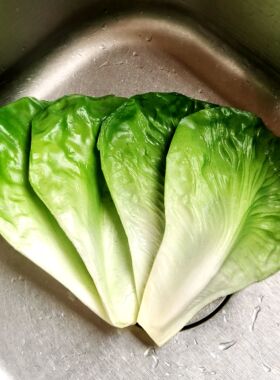 仿真水果蔬菜生菜叶子片橱柜展食材酒店橱柜装饰幼儿园摆放道具