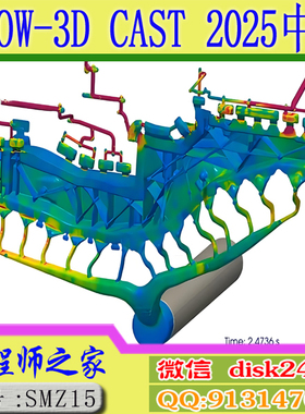 FLOW-3D CAST5.1 2024R1 2025R1中文版模流分析视频教程