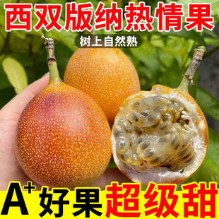 云南热情果新鲜现摘西双版 水果哥伦比亚顺丰 纳爱情果5斤纯甜当季