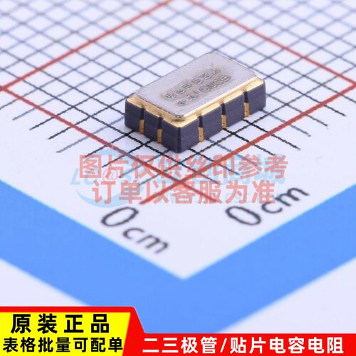 定时器/计时器 DS4156P+ LCCC-10(3.2x5) MAXIM(美信) 电子元器件