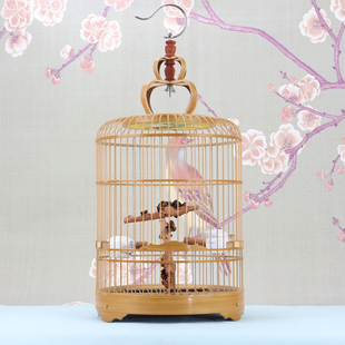 珍珠鸟绣眼鸟玉鸟文鸟黄雀竹鸟笼相思金青鸟竹皮抛光活底老竹鸟笼