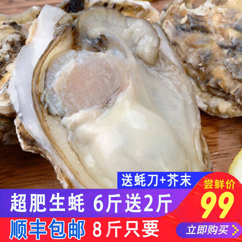 海鲜生蚝鲜活生蚝大牡蛎新鲜海蛎生蚝