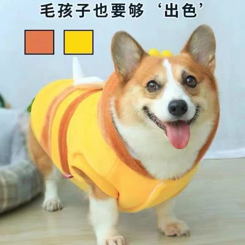 宠物狗狗衣服秋冬服装秋款冬装加厚柯基泰迪网红冬天保暖秋冬装,宠物/宠物食品及用品,狗宠物服装/雨衣,淘宝优惠券,粉丝福利购,淘宝优惠卷