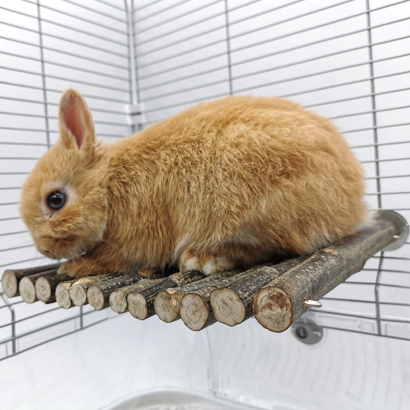 兔子原木平台 龙猫实木踏板 烘干树枝啃咬玩具 宠物磨牙笼内用品