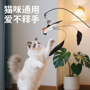 猫咪玩具逗猫棒头替换小燕子带铃铛羽毛逗猫神器解闷小猫玩具互动