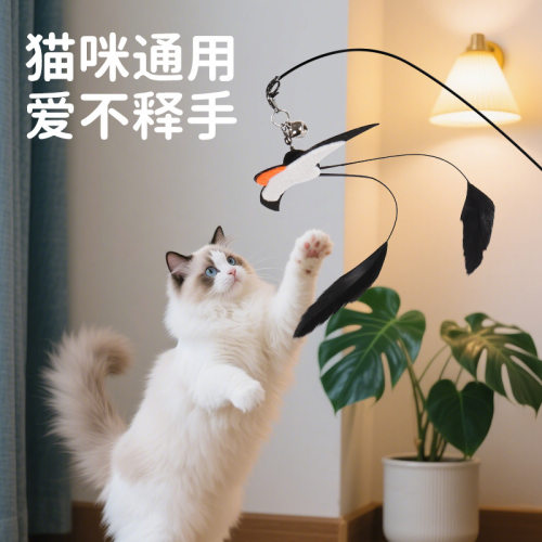 猫咪玩具逗猫棒头替换小燕子