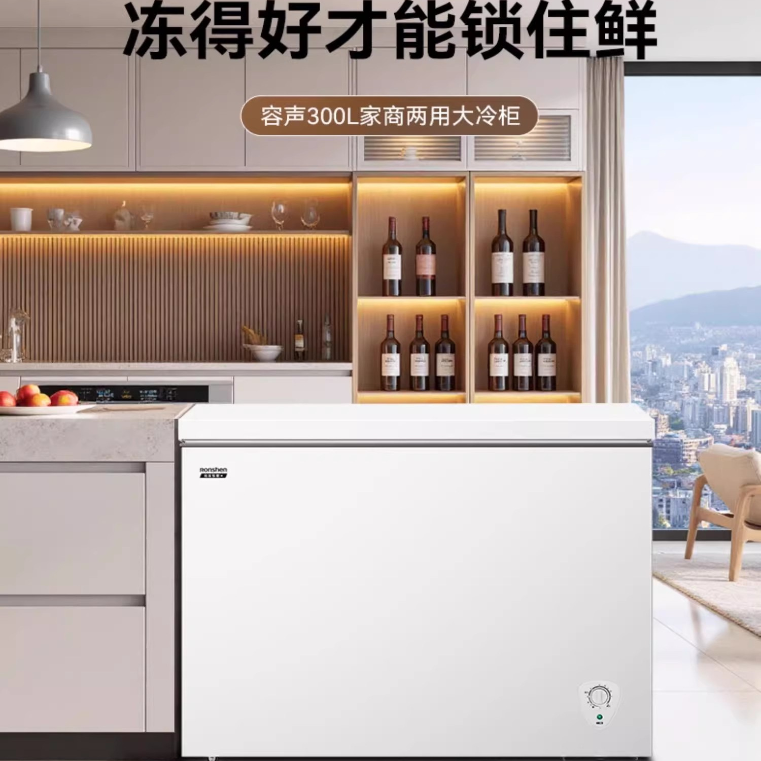 Ronshen/容声 BD/BC-300E10HNLAJ大容量冷柜家用商用一级能效冰柜
