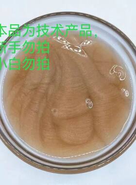 五天祛斑徒手清原料20克样品质量非常不错