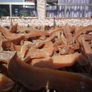 农家自制地瓜干硬无糖无添加原味老式 红薯干山芋干白薯干番薯干