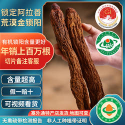 阿拉善非种植有机金锁阳整根内蒙古肉苁蓉淫羊藿中药材泡酒料泡茶