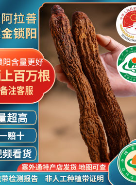 阿拉善有机金锁阳肉苁蓉中药材