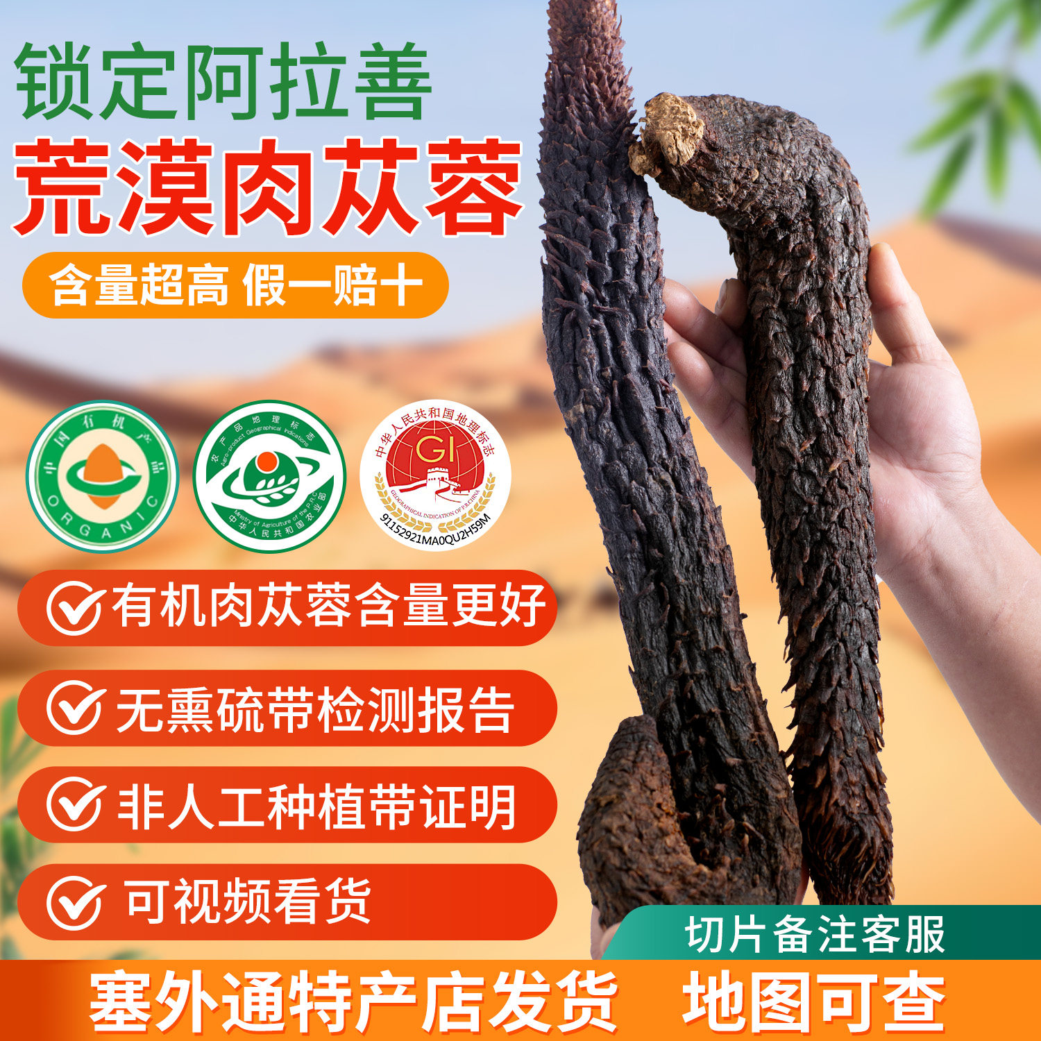 阿拉善有机肉苁蓉非种植整根正品内蒙古软性油苁蓉淫羊藿中药材料