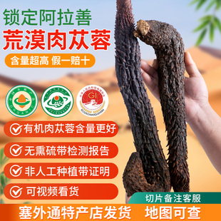 阿拉善有机肉苁蓉非种植整根正品内蒙古软性油苁蓉淫羊藿中药材料