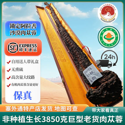 阿拉善特大有机肉苁蓉王非种植泡水泡酒料养生茶送礼下单送礼盒