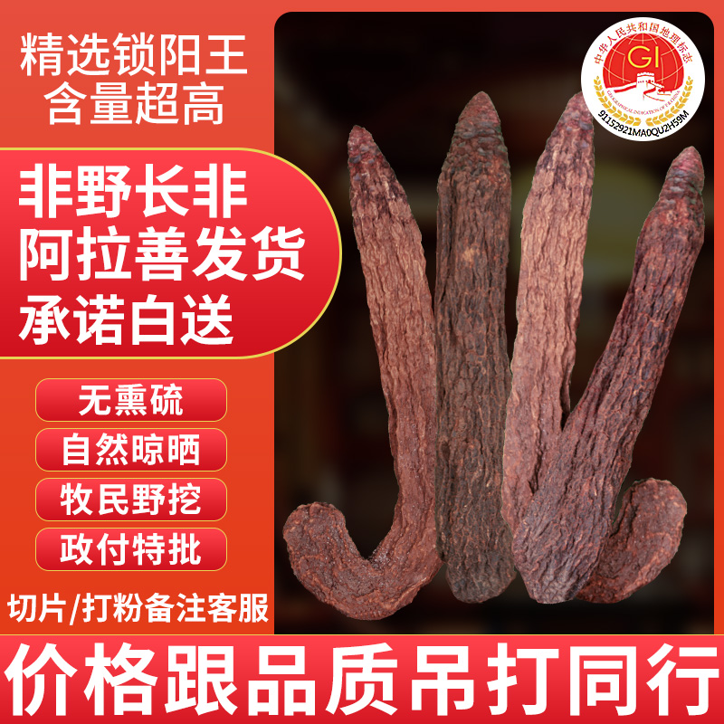 阿拉善金锁阳官方正品野长整根内蒙古肉苁蓉淫羊藿中药材泡酒料