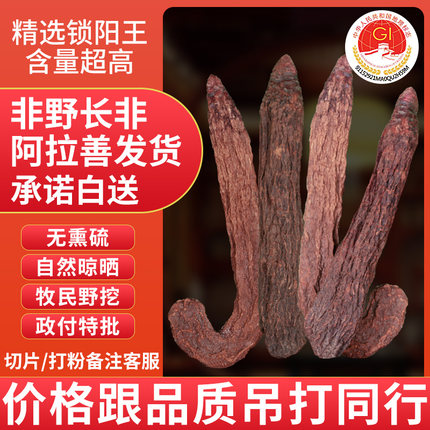 阿拉善金锁阳官方正品野长整根内蒙古肉苁蓉淫羊藿中药材泡酒料