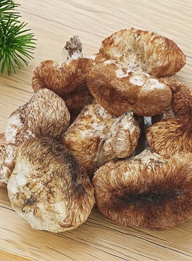 谭小六 长白山野生猴头菇 纯正干货 纯野生大朵煲汤食材 官方正品