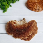 野生猴头菇东北特产深山野送礼盒新干货谭小六长白山猴头直播挑货