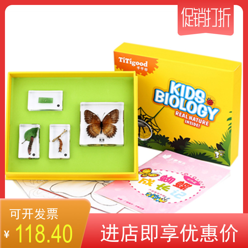 小螃蟹蜜蜂青蛙幼儿园教具昆虫