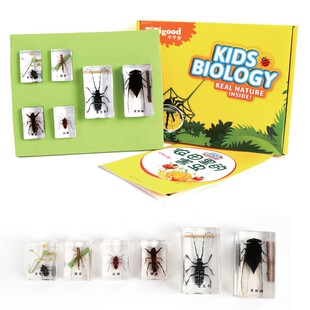 农田里的害虫金龟子蝗虫红蝽黑蚱蝉蝼蛄星天牛标本七色花科学教具