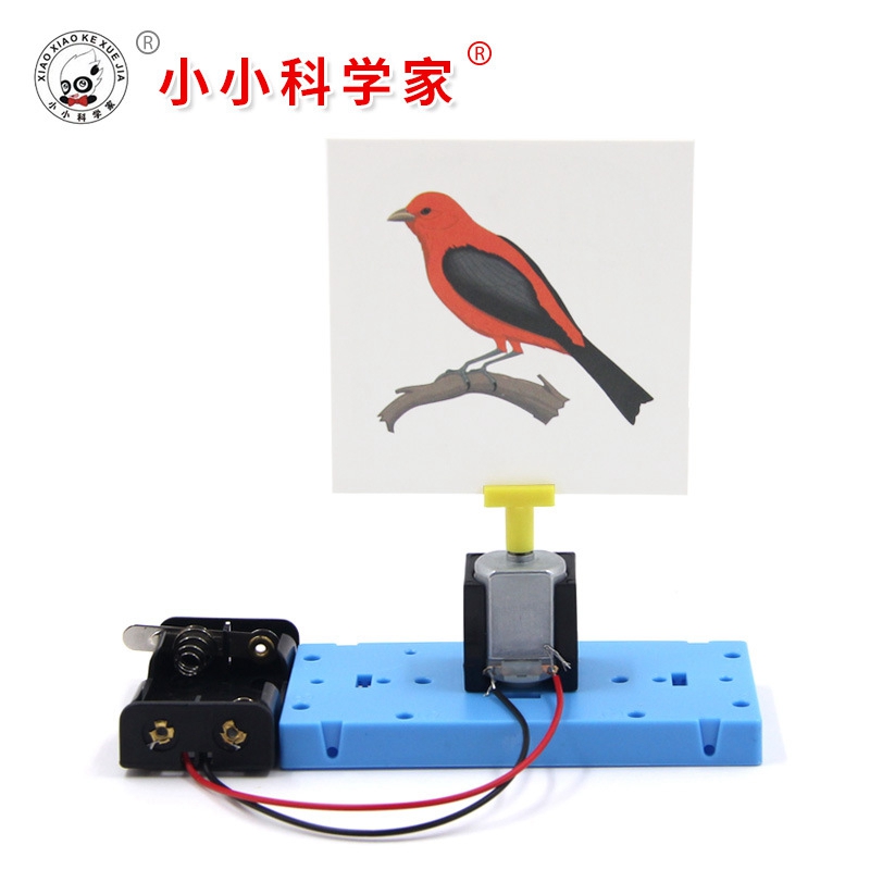 笼中鸟儿童少年宫科普实验器材自制组装玩具DIY科技小制作材料