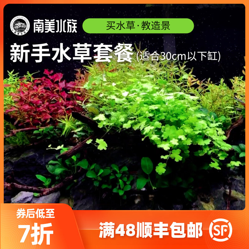 速发新手水草套餐开缸景草缸草水迷宫鱼缸水淡造景南美水族你廷