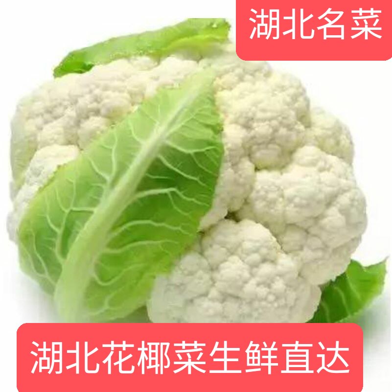 湖北西蓝花新鲜蔬菜大全花椰菜白花菜白梗白面有机花菜特价菜花