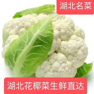 湖北西蓝花新鲜蔬菜大全花椰菜白花菜白梗白面有机花菜特价菜花