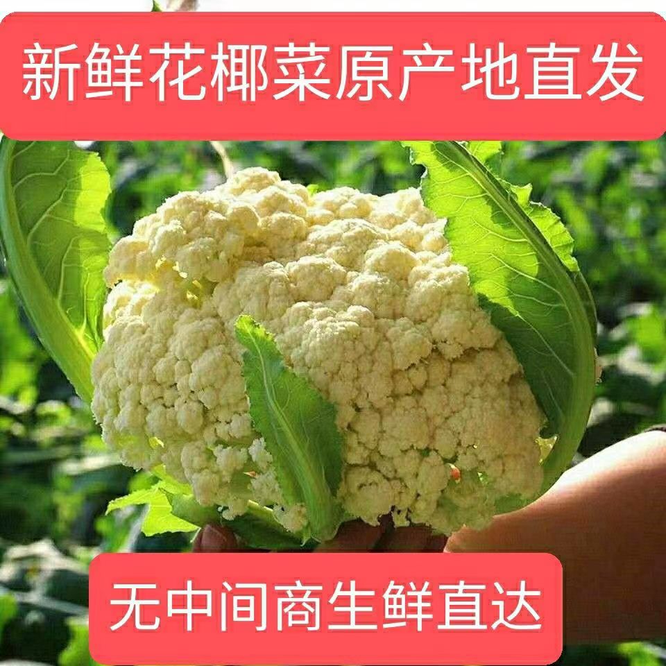 西蓝花白花菜湖北花菜镇