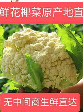 湖北花菜花椰菜白花菜西蓝花新鲜蔬菜大全松花西兰花散花蔬菜青菜