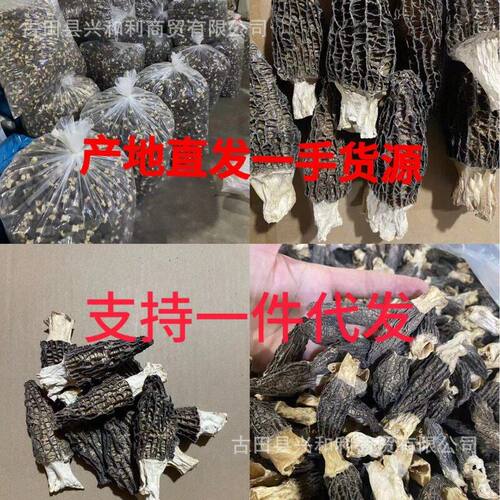大量云南散装羊肚羊肚菌菌干货