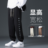 2024秋季男士运动卫裤长裤男直筒裤潮CK623P35，男装休闲裤，星座1106-3（原星座1111）